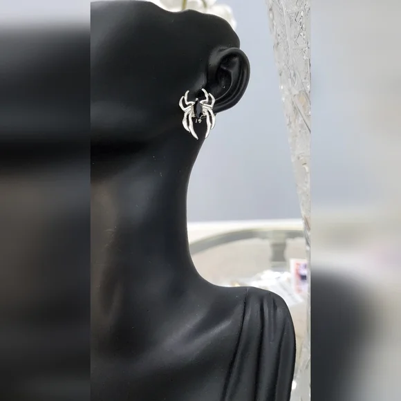 Silver Statement Earrings - Picture 6 of 8